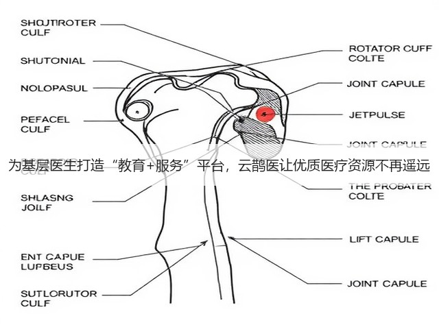 为基层医生打造“教育+服务”平台,云鹊医让优质医疗资源不再遥远(图1) 为基层医生打造“教育+服务”平台,云鹊医让优质医疗资源不再遥远(图1)