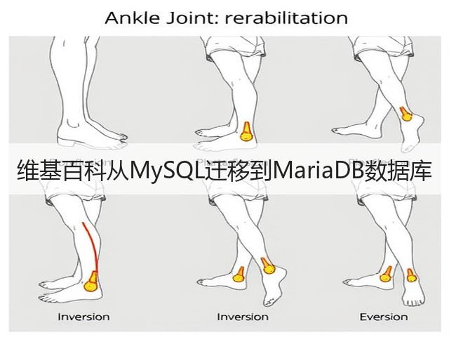 维基百科从MySQL迁移到MariaDB数据库(图1) 维基百科从MySQL迁移到MariaDB数据库(图1)