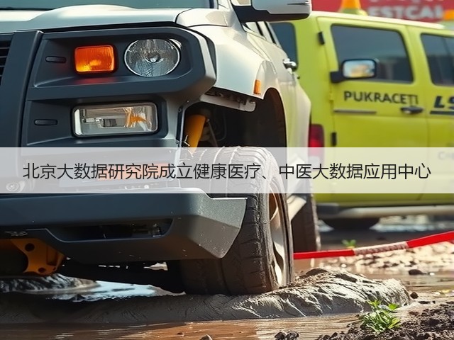 北京大数据研究院成立健康医疗、中医大数据应用中心(图3) 北京大数据研究院成立健康医疗、中医大数据应用中心(图3)