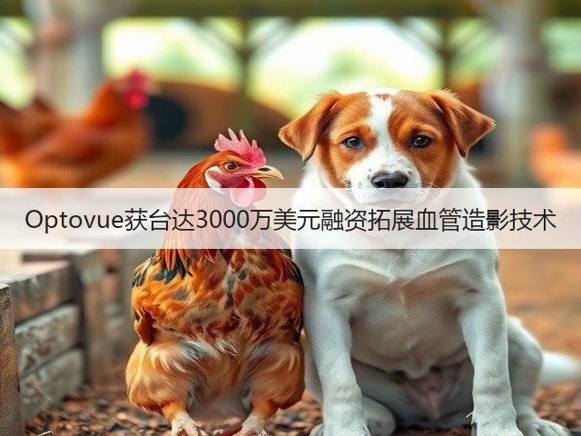 Optovue获台达3000万美元融资拓展血管造影技术(图3) Optovue获台达3000万美元融资拓展血管造影技术(图3)