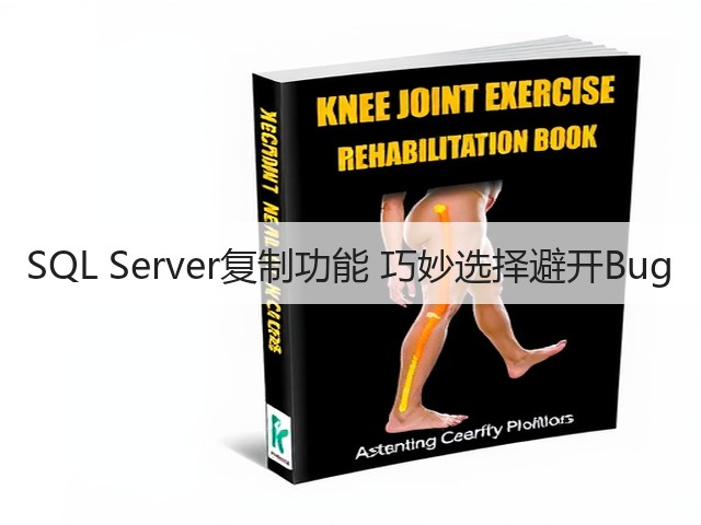 SQL Server复制功能 巧妙选择避开Bug(图2) SQL Server复制功能 巧妙选择避开Bug(图2)