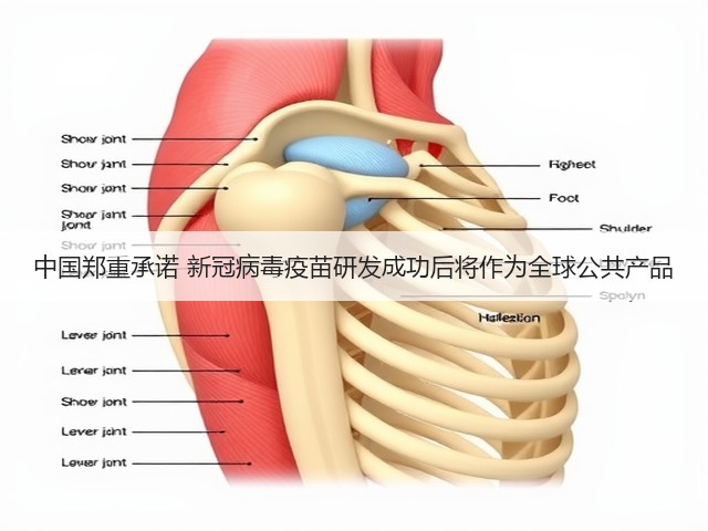中国郑重承诺 新冠病毒疫苗研发成功后将作为全球公共产品(图2) 中国郑重承诺 新冠病毒疫苗研发成功后将作为全球公共产品(图2)