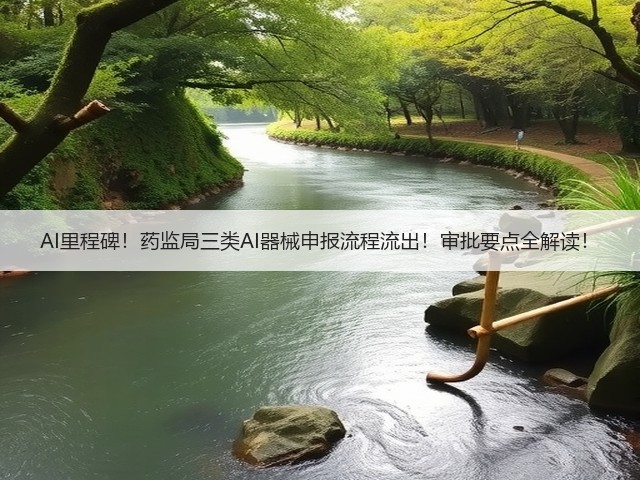 AI里程碑!药监局三类AI器械申报流程流出!审批要点全解读!(图3) AI里程碑!药监局三类AI器械申报流程流出!审批要点全解读!(图3)