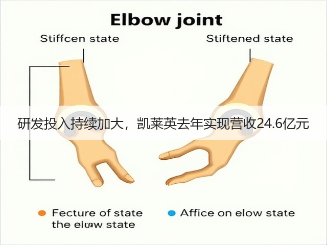 研发投入持续加大,凯莱英去年实现营收24.6亿元(图3) 研发投入持续加大,凯莱英去年实现营收24.6亿元(图3)