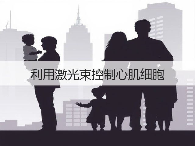 利用激光束控制心肌细胞(图3) 利用激光束控制心肌细胞(图3)