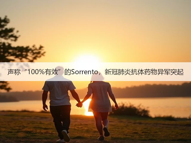 声称“100%有效”的Sorrento,新冠肺炎抗体药物异军突起(图1) 声称“100%有效”的Sorrento,新冠肺炎抗体药物异军突起(图1)