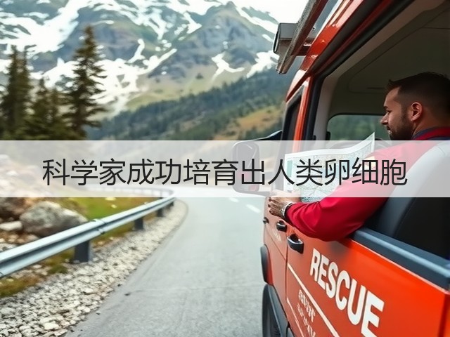 科学家成功培育出人类卵细胞(图1)