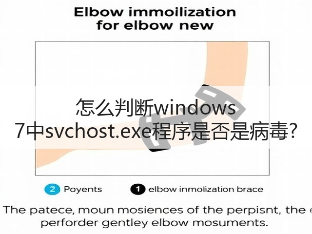 怎么判断windows 7中svchost.exe程序是否是病毒?(图2)