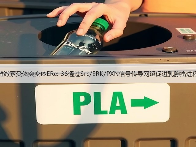 雌激素受体突变体ERα-36通过Src/ERK/PXN信号传导网络促进乳腺癌进程(图3)