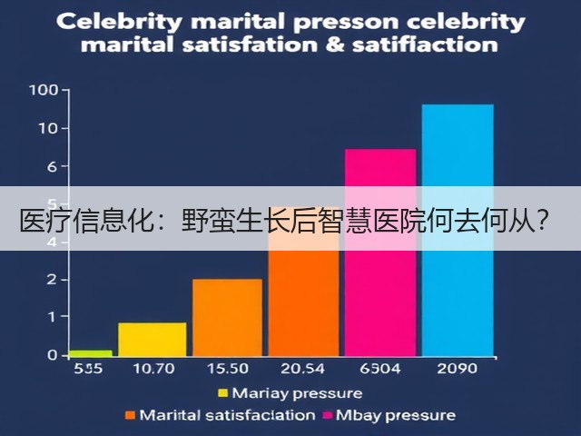 医疗信息化:野蛮生长后智慧医院何去何从?(图2) 医疗信息化:野蛮生长后智慧医院何去何从?(图2)