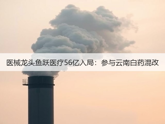 医械龙头鱼跃医疗56亿入局:参与云南白药混改(图1) 医械龙头鱼跃医疗56亿入局:参与云南白药混改(图1)