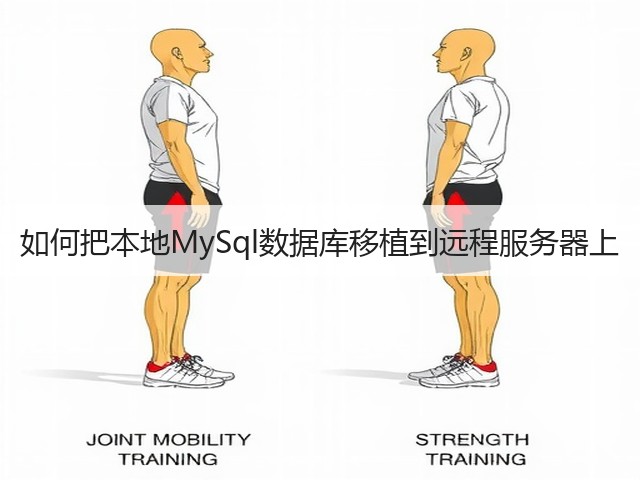 如何把本地MySql数据库移植到远程服务器上(图1) 如何把本地MySql数据库移植到远程服务器上(图1)