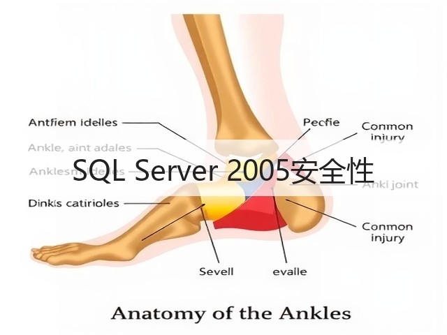 SQL Server 2005安全性(图3) SQL Server 2005安全性(图3)