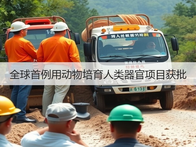 全球首例用动物培育人类器官项目获批(图2) 全球首例用动物培育人类器官项目获批(图2)