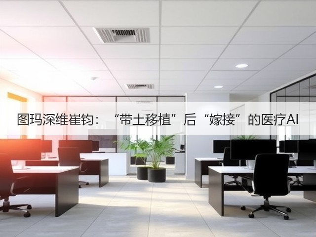 图玛深维崔钧:“带土移植”后“嫁接”的医疗AI(图2) 图玛深维崔钧:“带土移植”后“嫁接”的医疗AI(图2)