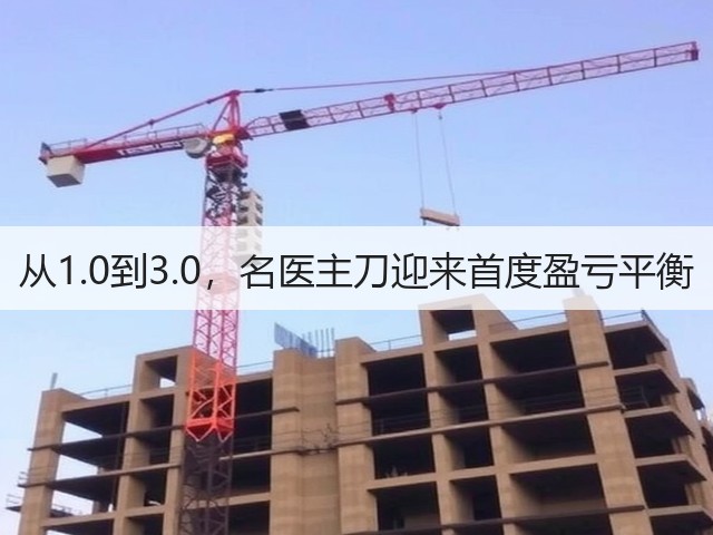 从1.0到3.0,名医主刀迎来首度盈亏平衡(图3) 从1.0到3.0,名医主刀迎来首度盈亏平衡(图3)
