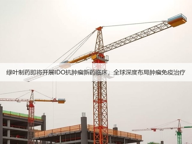 绿叶制药即将开展IDO抗肿瘤新药临床,全球深度布局肿瘤免疫治疗(图1) 绿叶制药即将开展IDO抗肿瘤新药临床,全球深度布局肿瘤免疫治疗(图1)