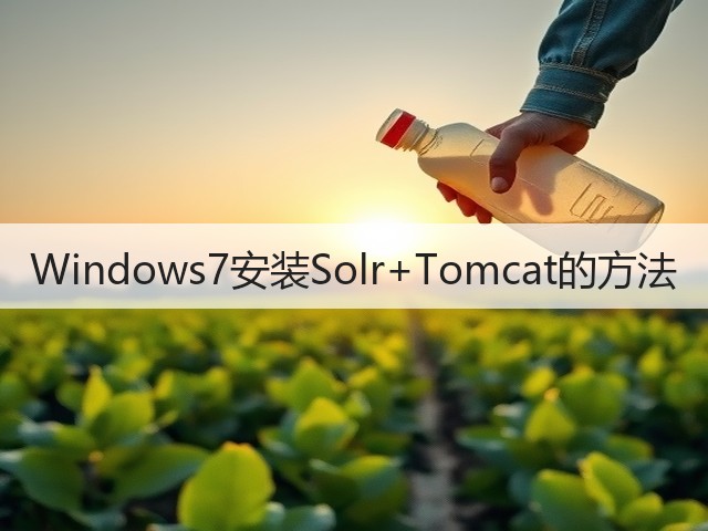 Windows7安装Solr+Tomcat的方法(图2) Windows7安装Solr+Tomcat的方法(图2)