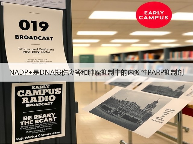 NADP+是DNA损伤应答和肿瘤抑制中的内源性PARP抑制剂(图2) NADP+是DNA损伤应答和肿瘤抑制中的内源性PARP抑制剂(图2)