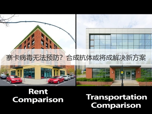 寨卡病毒无法预防？合成抗体或将成解决新方案(图2)