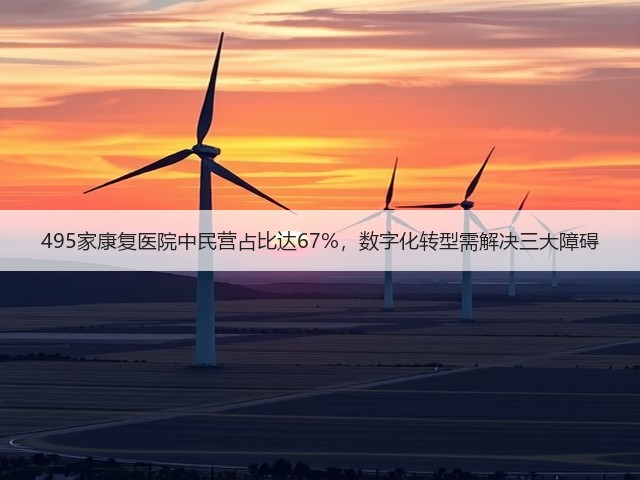 495家康复医院中民营占比达67%,数字化转型需解决三大障碍(图3) 495家康复医院中民营占比达67%,数字化转型需解决三大障碍(图3)