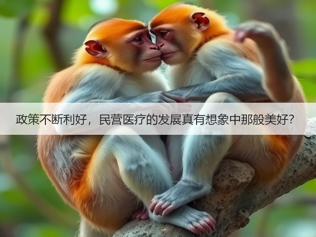 政策不断利好,民营医疗的发展真有想象中那般美好?(图1) 政策不断利好,民营医疗的发展真有想象中那般美好?(图1)