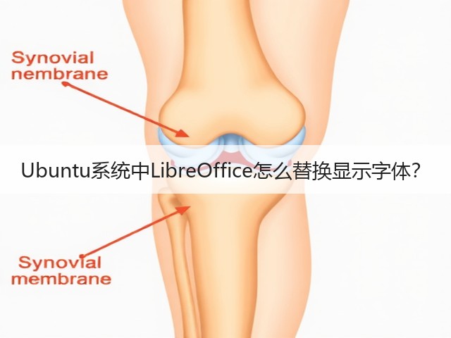 Ubuntu系统中LibreOffice怎么替换显示字体?(图2) Ubuntu系统中LibreOffice怎么替换显示字体?(图2)