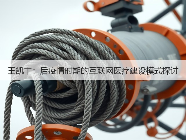 王凯丰:后疫情时期的互联网医疗建设模式探讨(图3) 王凯丰:后疫情时期的互联网医疗建设模式探讨(图3)
