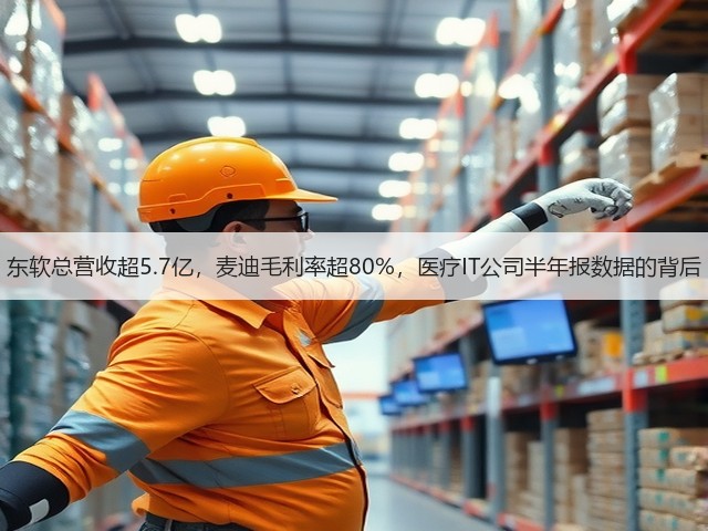 东软总营收超5.7亿,麦迪毛利率超80%,医疗IT公司半年报数据的背后(图2) 东软总营收超5.7亿,麦迪毛利率超80%,医疗IT公司半年报数据的背后(图2)