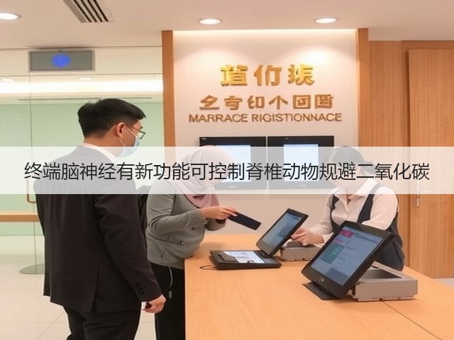 终端脑神经有新功能可控制脊椎动物规避二氧化碳(图3) 终端脑神经有新功能可控制脊椎动物规避二氧化碳(图3)
