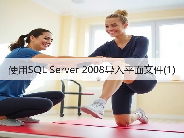 使用SQL Server 2008导入平面文件(1)(图2) 使用SQL Server 2008导入平面文件(1)(图2)