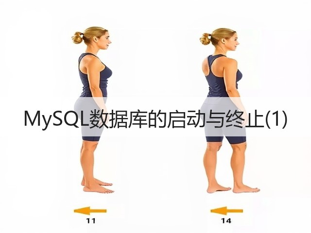 MySQL数据库的启动与终止(1)(图3) MySQL数据库的启动与终止(1)(图3)
