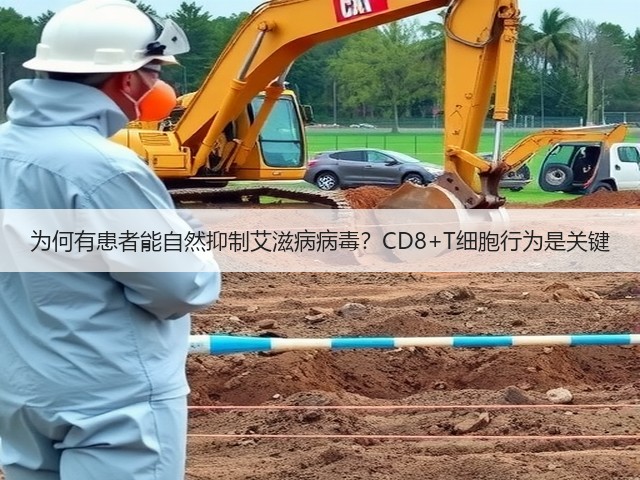 为何有患者能自然抑制艾滋病病毒?CD8+T细胞行为是关键(图3) 为何有患者能自然抑制艾滋病病毒?CD8+T细胞行为是关键(图3)