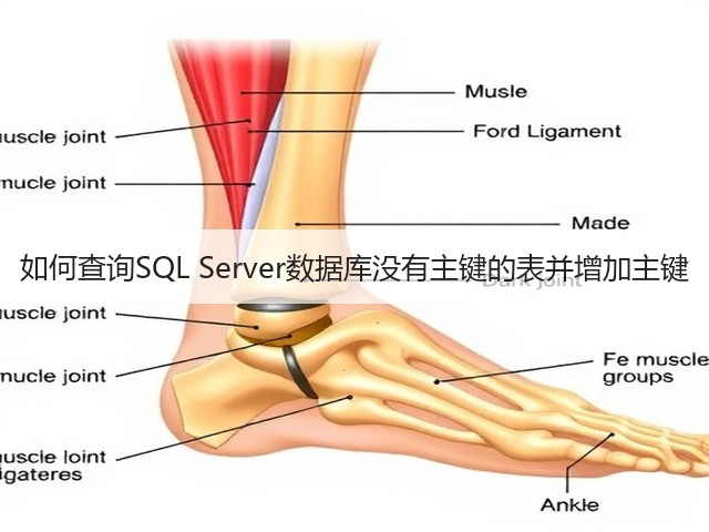 如何查询SQL Server数据库没有主键的表并增加主键(图2) 如何查询SQL Server数据库没有主键的表并增加主键(图2)
