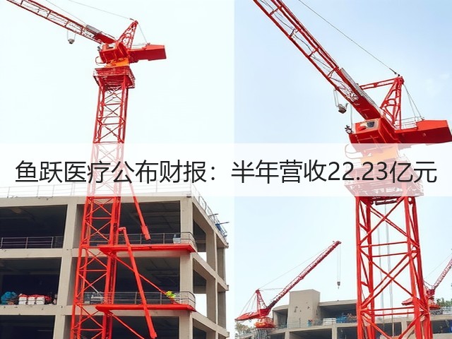 鱼跃医疗公布财报:半年营收22.23亿元(图2) 鱼跃医疗公布财报:半年营收22.23亿元(图2)