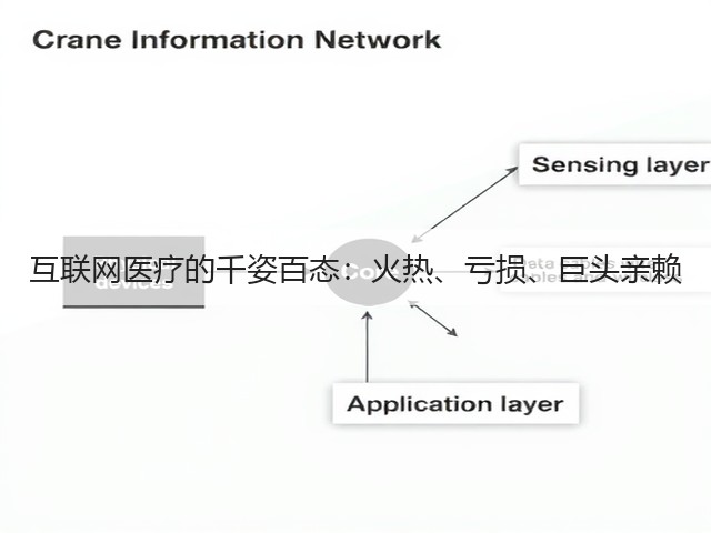 互联网医疗的千姿百态:火热、亏损、巨头亲赖(图2) 互联网医疗的千姿百态:火热、亏损、巨头亲赖(图2)