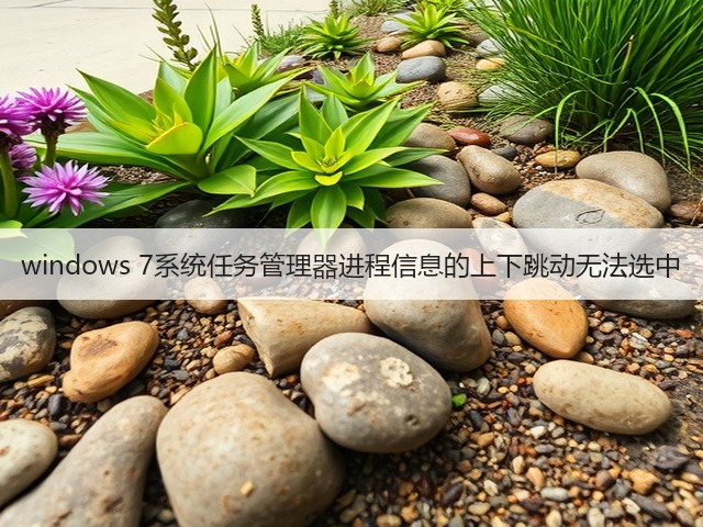 windows 7系统任务管理器进程信息的上下跳动无法选中(图3) windows 7系统任务管理器进程信息的上下跳动无法选中(图3)