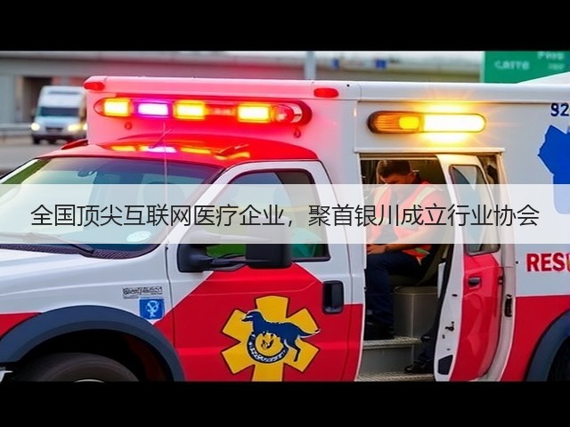 全国顶尖互联网医疗企业,聚首银川成立行业协会(图1) 全国顶尖互联网医疗企业,聚首银川成立行业协会(图1)