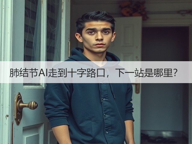 肺结节AI走到十字路口,下一站是哪里?(图3) 肺结节AI走到十字路口,下一站是哪里?(图3)