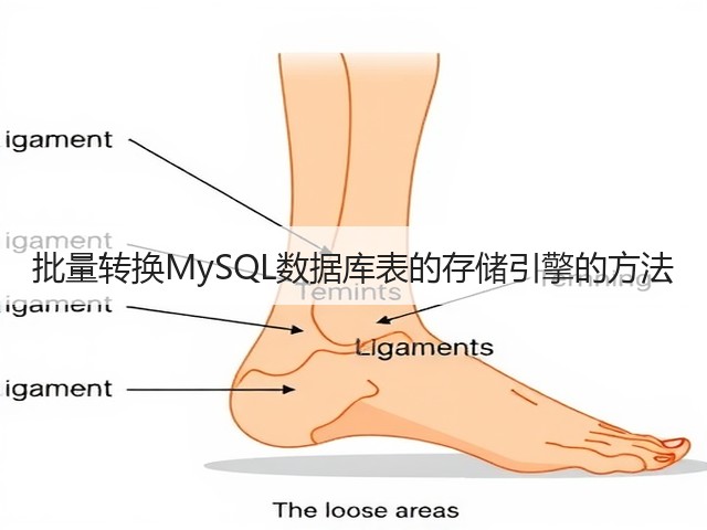 批量转换MySQL数据库表的存储引擎的方法(图2) 批量转换MySQL数据库表的存储引擎的方法(图2)