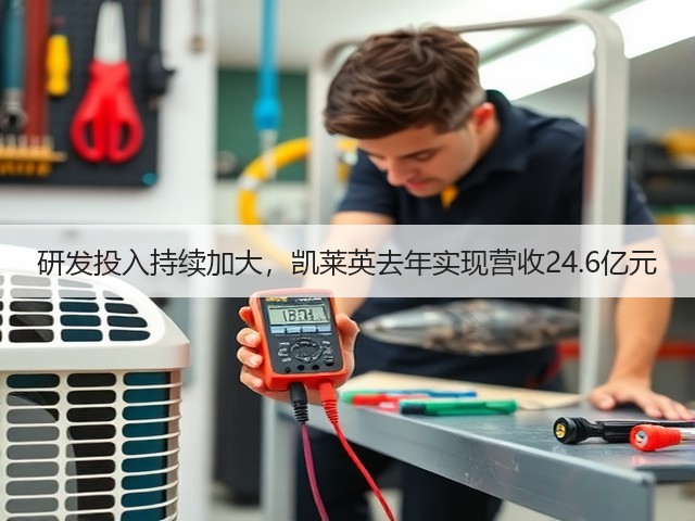 研发投入持续加大,凯莱英去年实现营收24.6亿元(图2) 研发投入持续加大,凯莱英去年实现营收24.6亿元(图2)