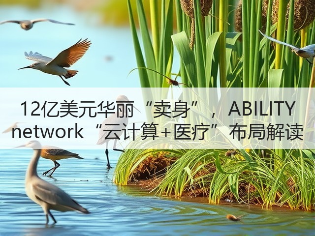 12亿美元华丽“卖身”，ABILITY network“云计算+医疗”布局解读(图3)