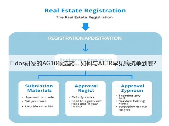 Eidos研发的AG10候选药,如何与ATTR罕见病抗争到底?(图2) Eidos研发的AG10候选药,如何与ATTR罕见病抗争到底?(图2)