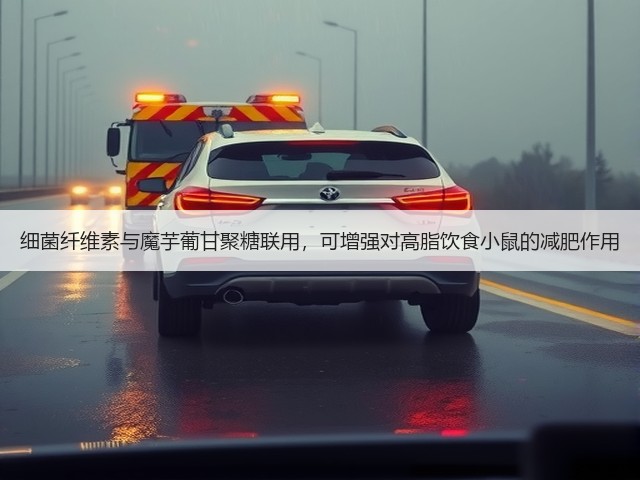 细菌纤维素与魔芋葡甘聚糖联用，可增强对高脂饮食小鼠的减肥作用(图1)