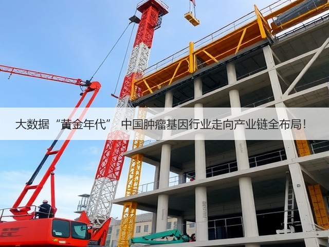 大数据“黄金年代” 中国肿瘤基因行业走向产业链全布局!(图1) 大数据“黄金年代” 中国肿瘤基因行业走向产业链全布局!(图1)