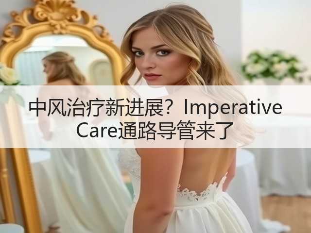 中风治疗新进展？Imperative Care通路导管来了(图1)