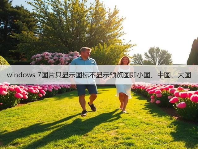 windows 7图片只显示图标不显示预览图即小图、中图、大图(图1)