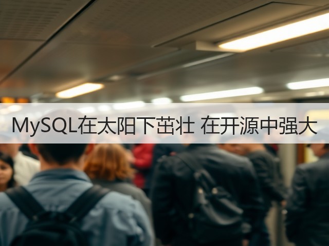 MySQL在太阳下茁壮 在开源中强大(图3)