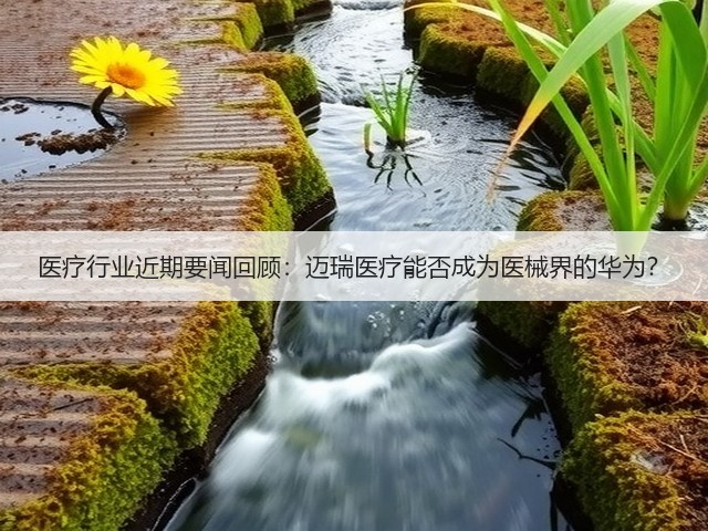 医疗行业近期要闻回顾:迈瑞医疗能否成为医械界的华为?(图2) 医疗行业近期要闻回顾:迈瑞医疗能否成为医械界的华为?(图2)