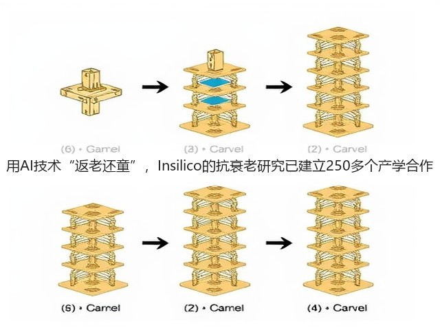 用AI技术“返老还童”，Insilico的抗衰老研究已建立250多个产学合作(图2)